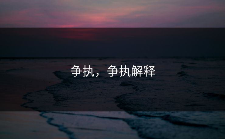 争执，争执解释