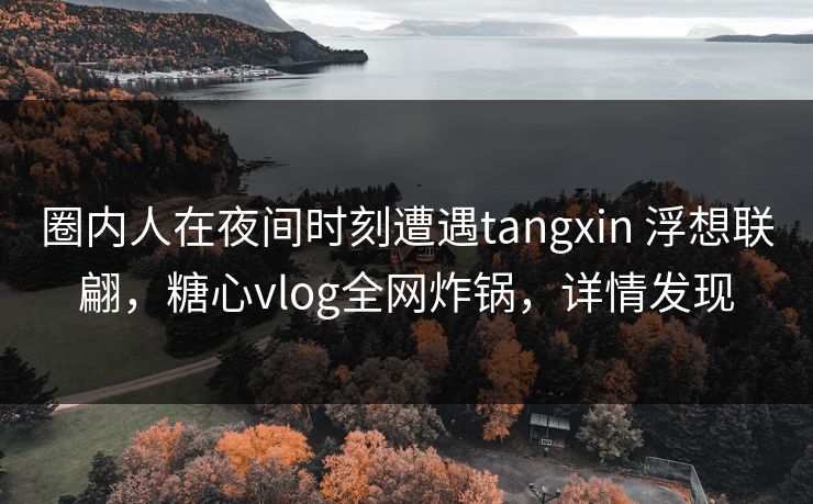 圈内人在夜间时刻遭遇tangxin 浮想联翩，糖心vlog全网炸锅，详情发现